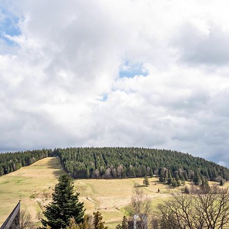 Haus Bergruh Kuckucksnest Leilighet Todtnauberg Eksteriør bilde