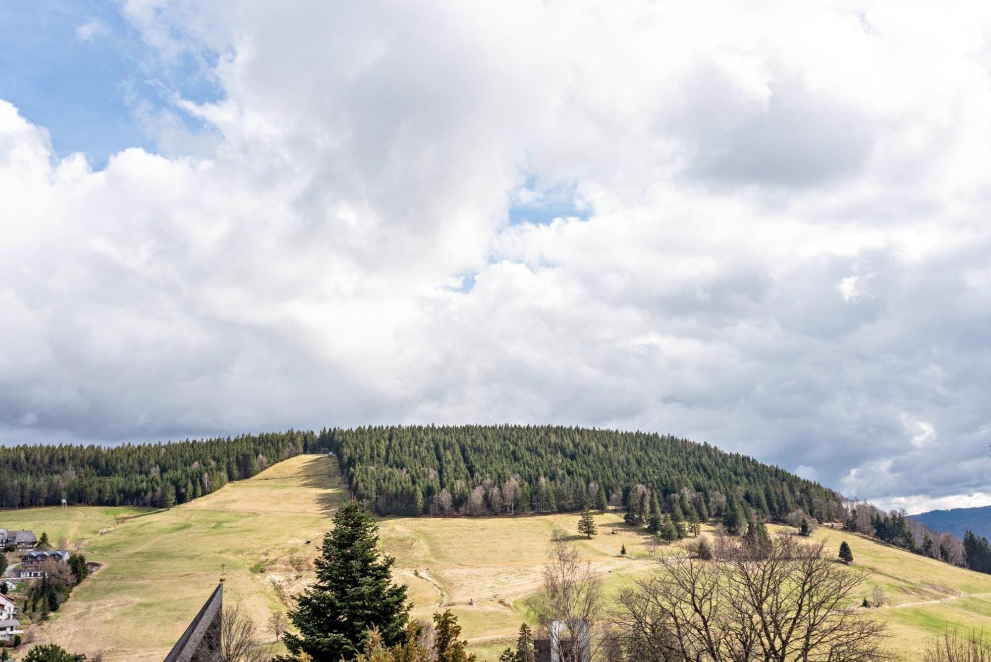 Haus Bergruh Kuckucksnest Leilighet Todtnauberg Eksteriør bilde